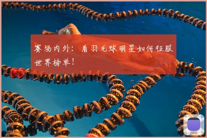 赛场内外：看羽毛球明星如何征服世界榜单！